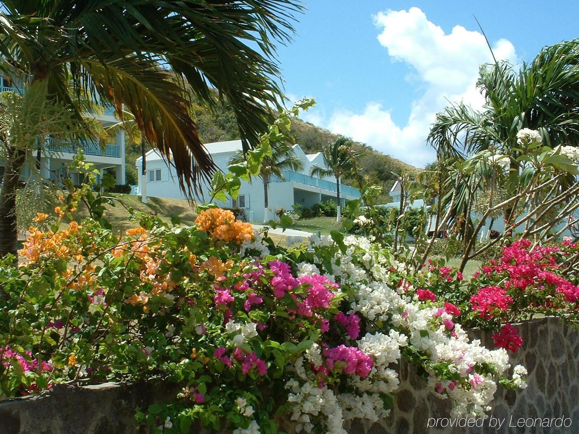 Timothy Beach Resort Frigate Bay Exterior foto